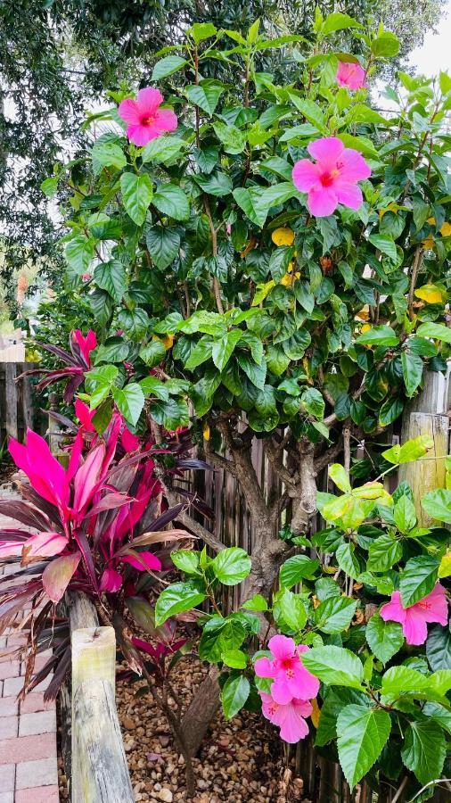ケープ・カナベラル Casa Flamingoヴィラ エクステリア 写真